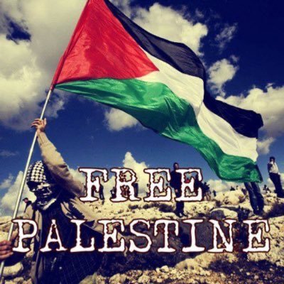 Doctor MMA 🇵🇸's profile picture