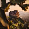 مازن ابو شام profil fotoğrafı