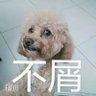 狒狒猪 profil fotoğrafı