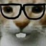 jjjj's profile picture