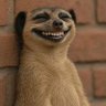 Fingaz's profile picture