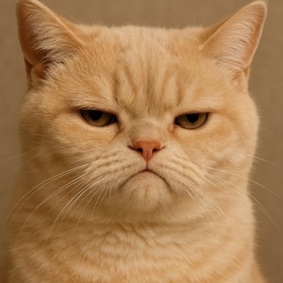 Cc_12088's profile picture