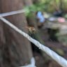 mmmzzz profil fotoğrafı