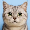 Profilbild von Karolyn