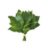 Profilbild von 暗黑草莓