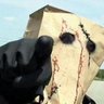 Profilbild von BAGMAN(聴き比べマン)