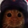 MysteryDragon's profile picture