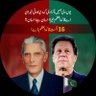 Raja Waqar Minhas 🇵🇰's profile picture