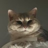 Profilbild von Cats that Judge