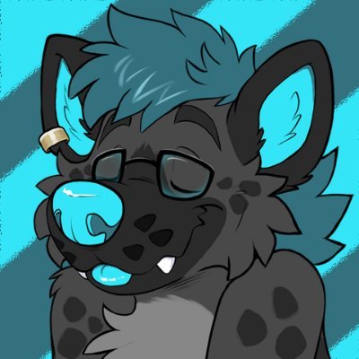 dashydoggo's profile picture