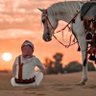 Фото профиля @ 🐎عـ سبيل ـابر @🐎