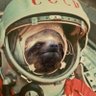 Фото профиля Leon Slothsky