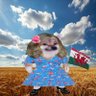 MazHadz 🏴🇺🇦👊's profile picture
