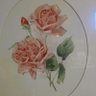 Judy Morris's profile picture