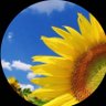 أبو جمال profil fotoğrafı