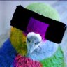 positive_golub's profile picture