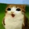 Jesse's profile picture