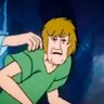 Radd's profile picture