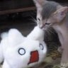 のみ。 profil fotoğrafı