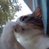 Zezo's profile picture