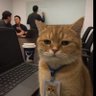 Dr. mao's profile picture