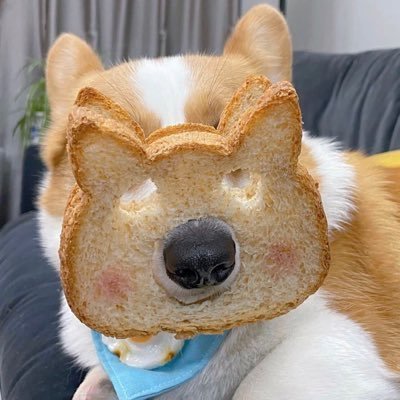 vikiy61499's profile picture