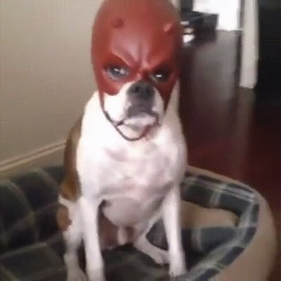 pauliejoy1's profile picture