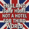 GreatDane 🏴 🇬🇧's profile picture