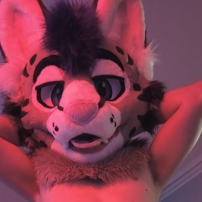 SwitchyServalAD's profile picture