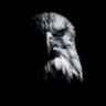 The Deist's profile picture
