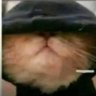 Crabolski profil fotoğrafı