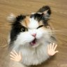 inaffff.'s profile picture