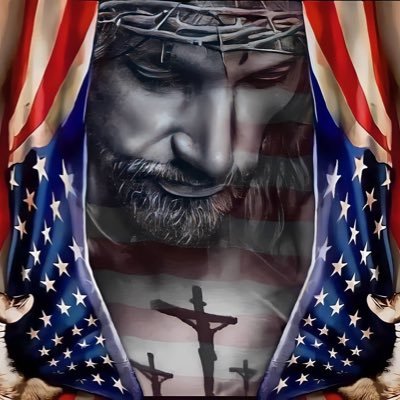 BrutallyH78's profile picture