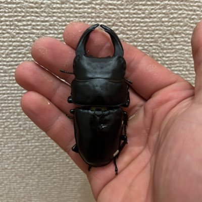 wt6Tx1SUHn's profile picture