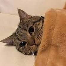 hmm_mmm1's profile picture