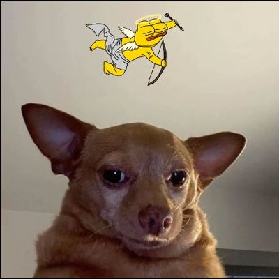 Resolutehive's profile picture