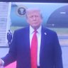 Profilbild von Democrats are crazy lunatic's