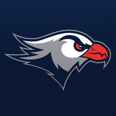 Lackawanna College Falcons's profile picture