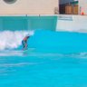 Фото профиля surf texas