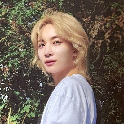 alisykay's profile picture
