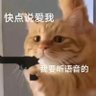 一只有人设的猫子's profile picture
