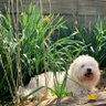 Beverly A. Pekala's profile picture