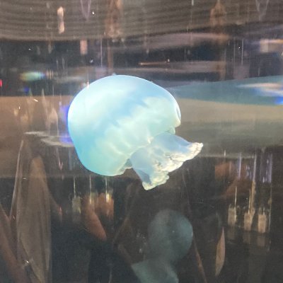 Travel__withus's profile picture