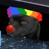 Profilbild von LinkDog 2.0/Honk