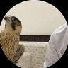 saad's profile picture