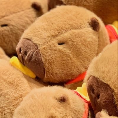 一碗萝卜酱's profile picture
