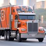 Driver's profile picture