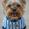 Profilbild von (tez7n2)