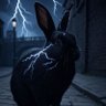 ThunderHare profil fotoğrafı