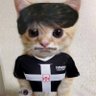 Profilbild von Vascaíno depressivo